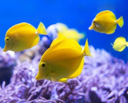 その他のお世話記録