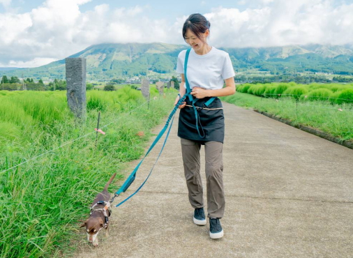 糸永さんのお散歩
